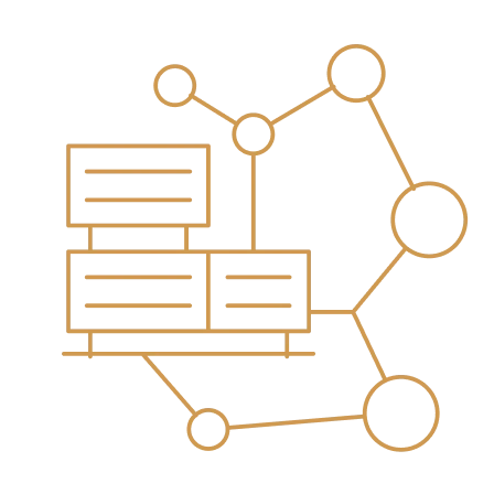 Innovation & Partnerships